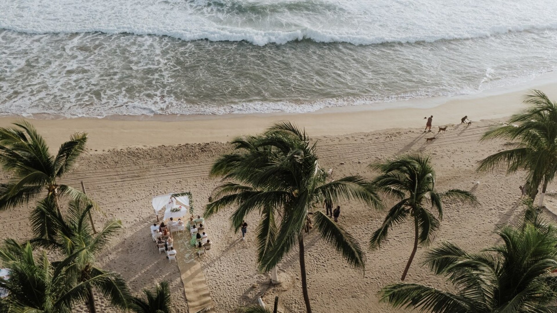 Vista aérea de ceremonia de boda en la playa rodeada de palmeras con olas del Pacífico de fondo