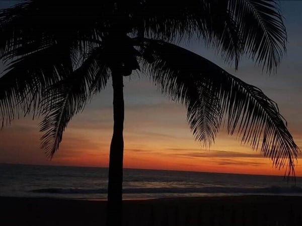 Silueta de palmera frente al mar en un atardecer de tonos naranja y azul profundo