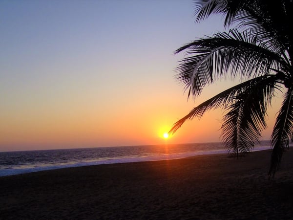 Atardecer en la playa con silueta de palmera y sol tocando el horizonte del Pacífico