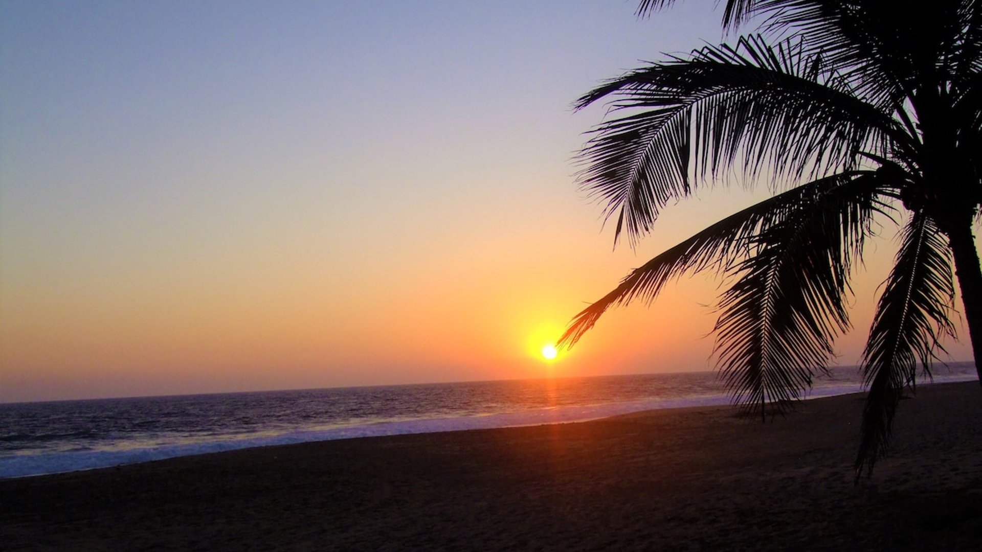 Atardecer en la playa con silueta de palmera y sol tocando el horizonte del Pacífico