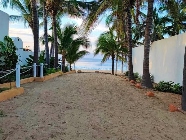 Sendero de arena entre palmeras que conduce directamente a la playa y el mar al amanecer
