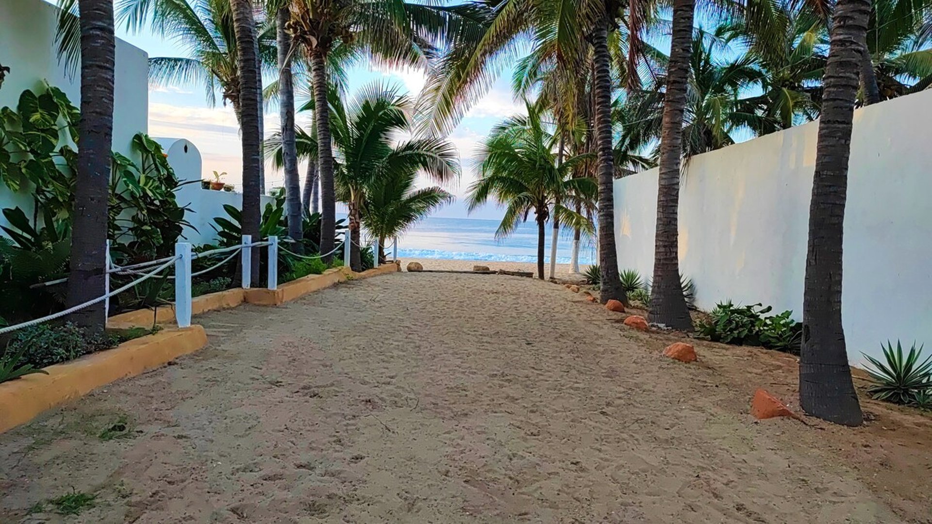 Sendero de arena entre palmeras que conduce directamente a la playa y el mar al amanecer