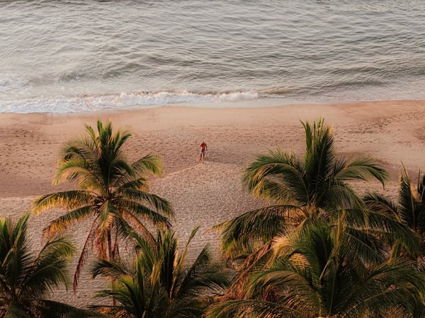 Vista aérea de playa desierta con palmeras en primer plano y olas suaves al atardecer