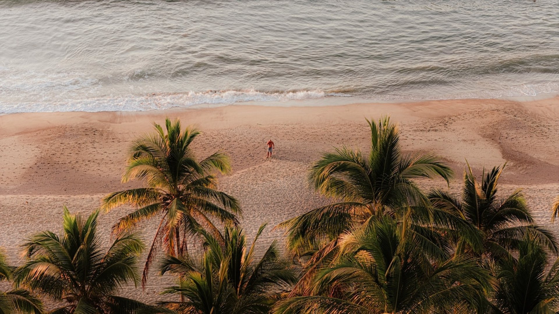 Vista aérea de playa desierta con palmeras en primer plano y olas suaves al atardecer