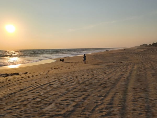 Persona paseando con perro en playa extensa de arena dorada al atardecer, mar tranquilo y cielo naranja en el horizonte
