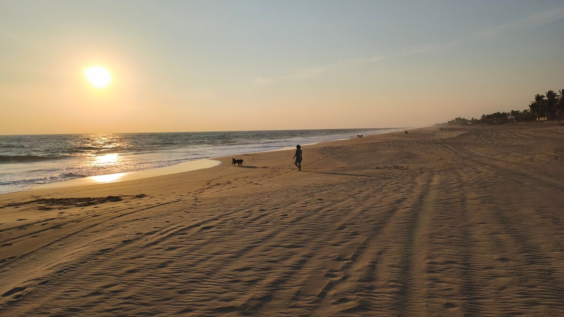Persona paseando con perro en playa extensa de arena dorada al atardecer, mar tranquilo y cielo naranja en el horizonte