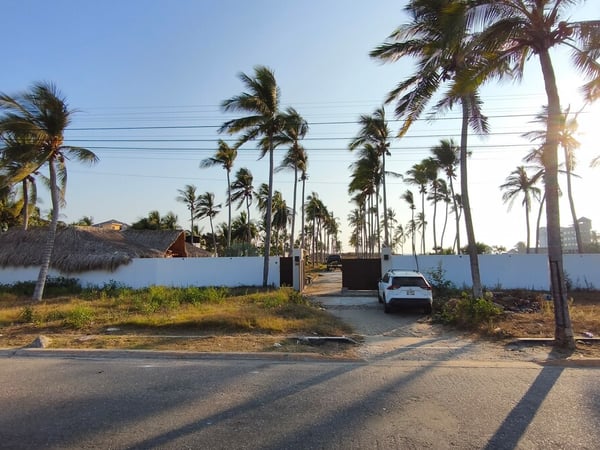 Vista desde la calle de la entrada principal de la propiedad, barda blanca con portón, palmeras altas y palapa al fondo en luz dorada