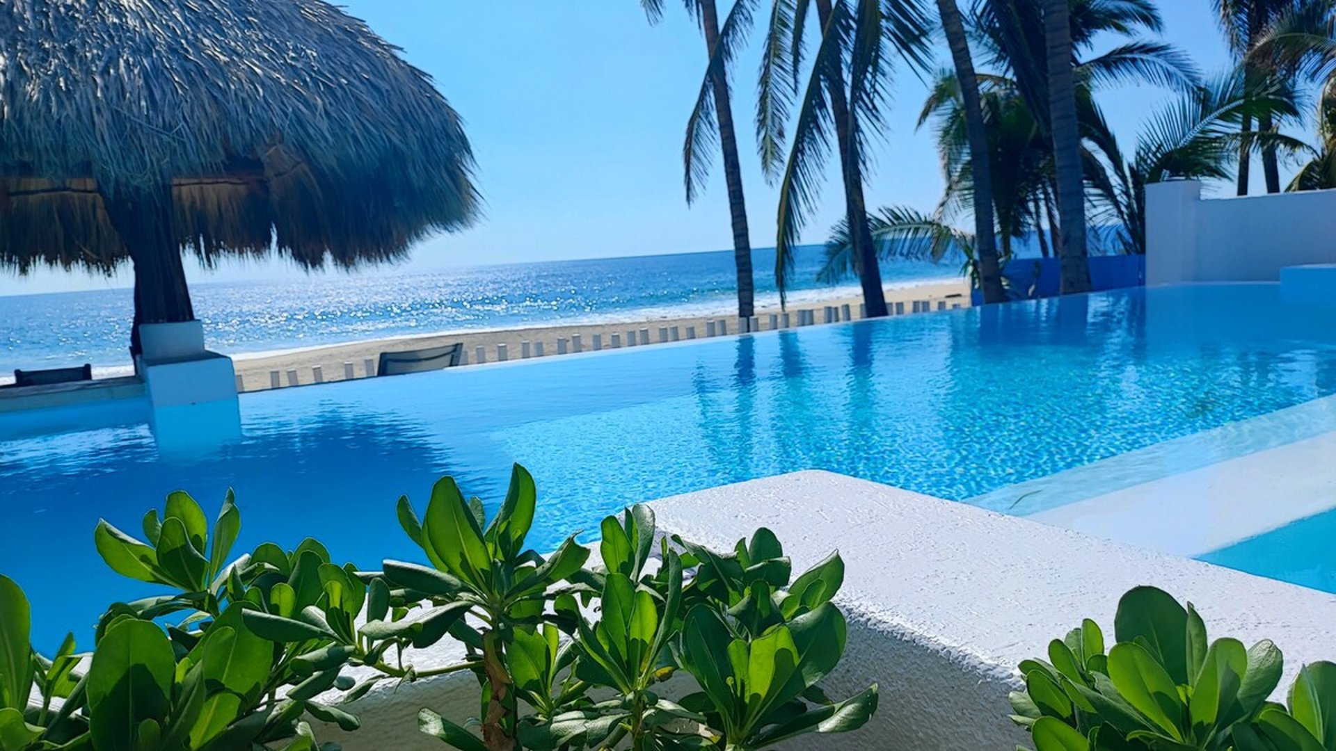 Alberca de borde infinito con vista al mar, palmeras y palapa bajo cielo azul brillante