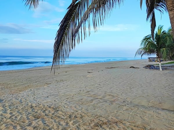 Playa de arena amplia con palmeras al amanecer, olas suaves y palapa de la propiedad al fondo