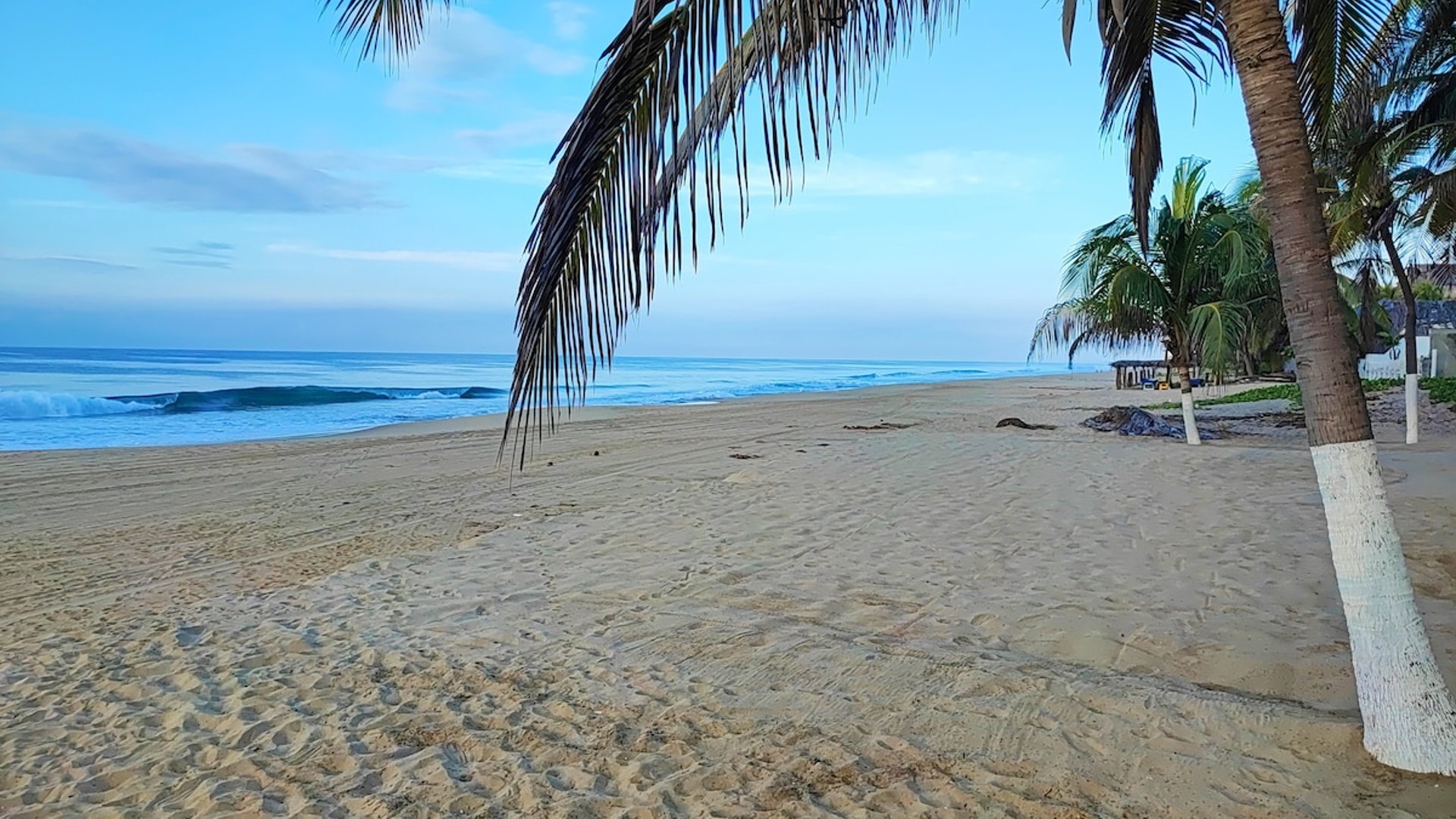 Playa de arena amplia con palmeras al amanecer, olas suaves y palapa de la propiedad al fondo