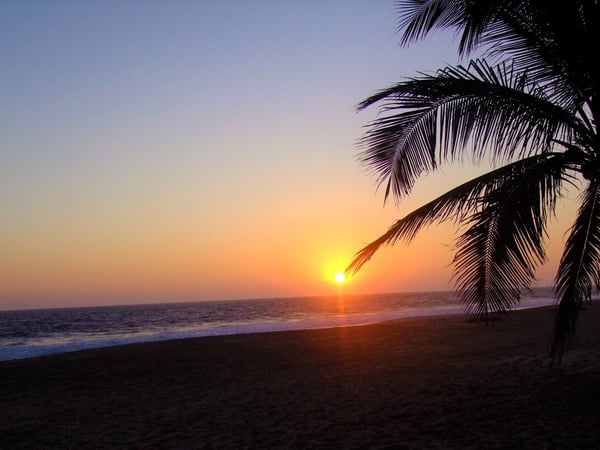 Atardecer en la playa con silueta de palmera enmarcando el sol hundiéndose en el océano Pacífico