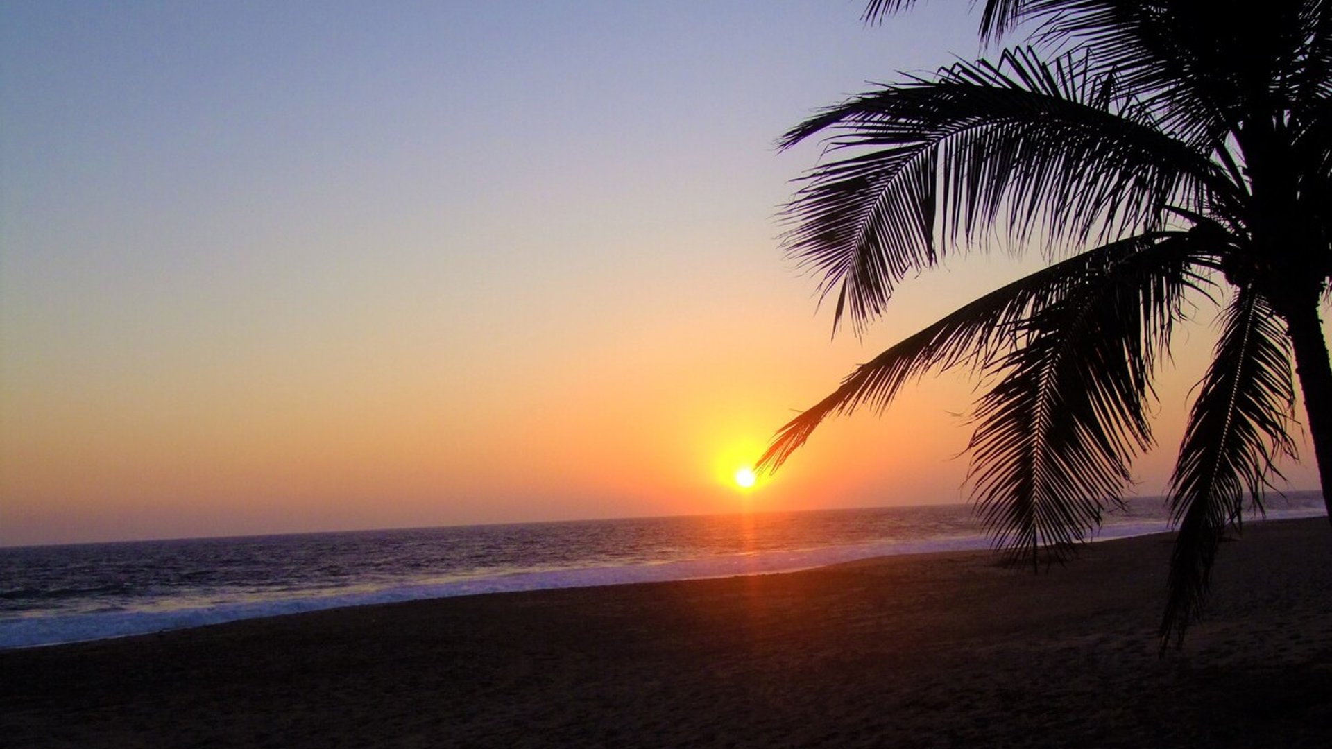 Atardecer en la playa con silueta de palmera enmarcando el sol hundiéndose en el océano Pacífico