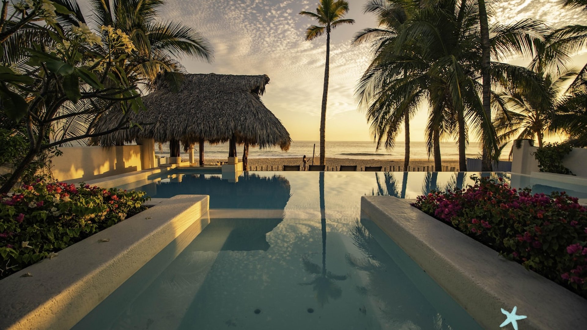 Alberca infinity y jacuzzi con palapa frente al mar al atardecer, rodeados de palmeras y buganvilias