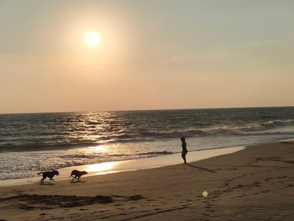 Silueta de persona con dos perros corriendo en la playa al atardecer frente al mar Pacífico
