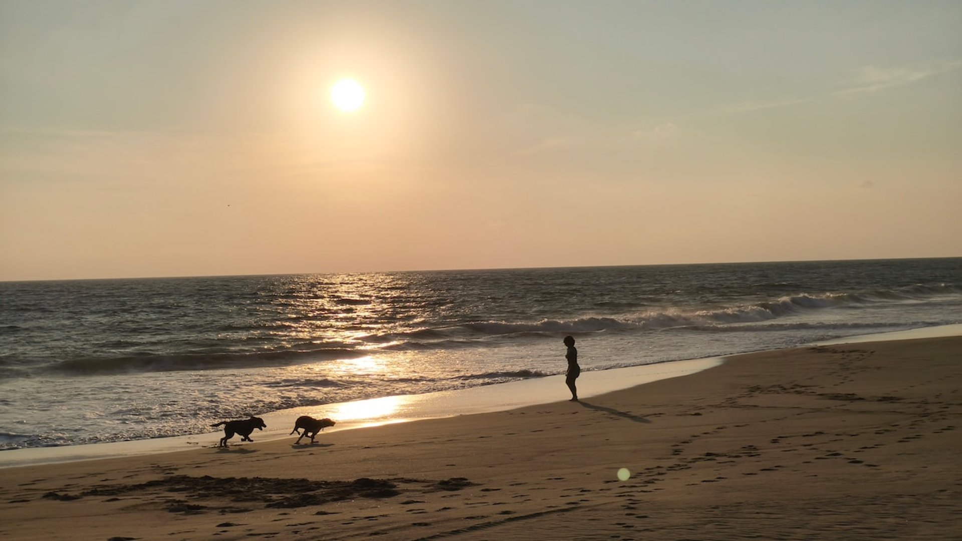 Silueta de persona con dos perros corriendo en la playa al atardecer frente al mar Pacífico