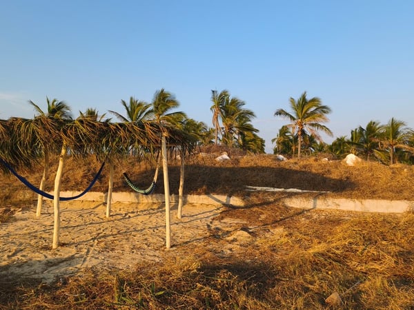 Terreno arenoso con hamaca bajo palapa rústica de palma, palmeras y luz dorada de tarde