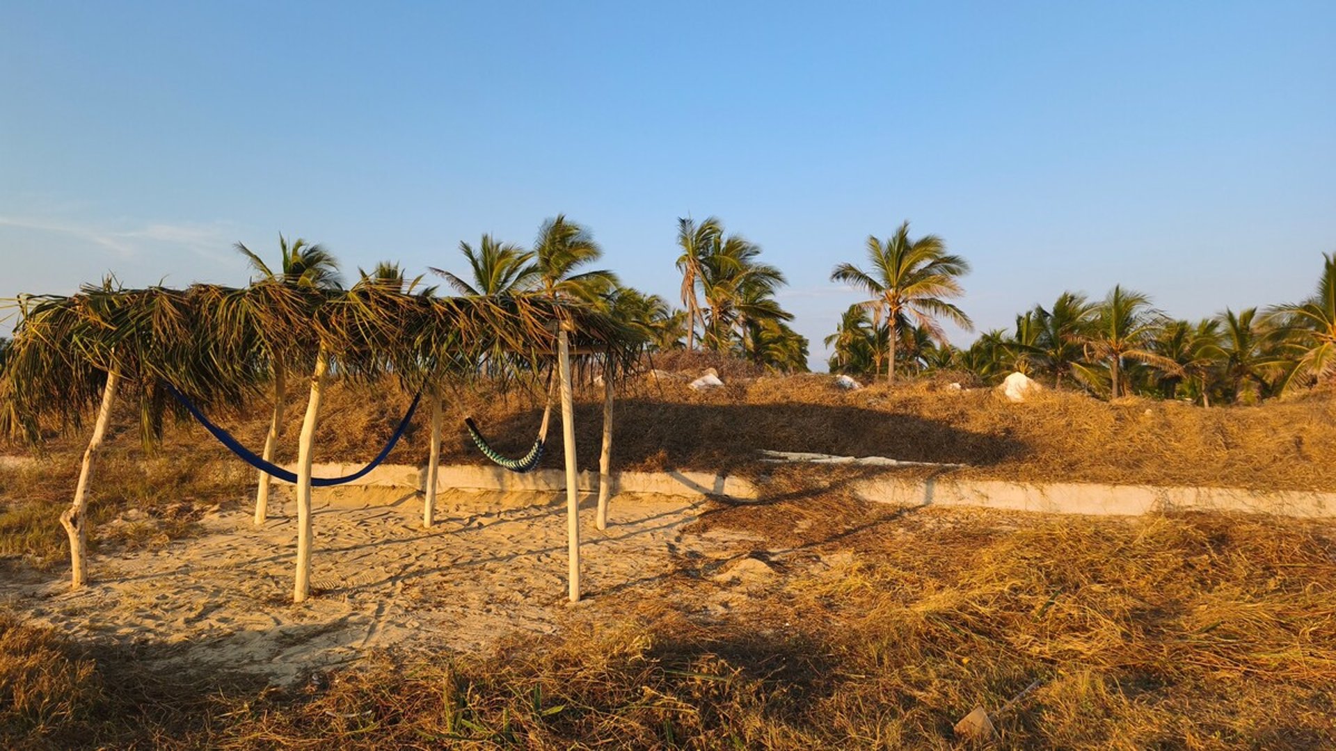 Terreno arenoso con hamaca bajo palapa rústica de palma, palmeras y luz dorada de tarde