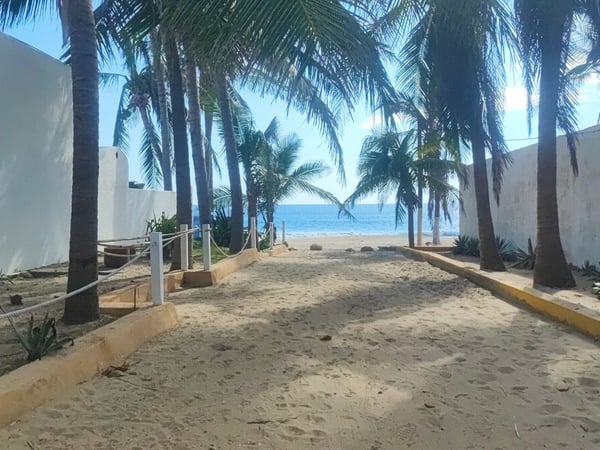 Acceso arenoso entre palmeras hacia la playa con mar azul al fondo en día soleado