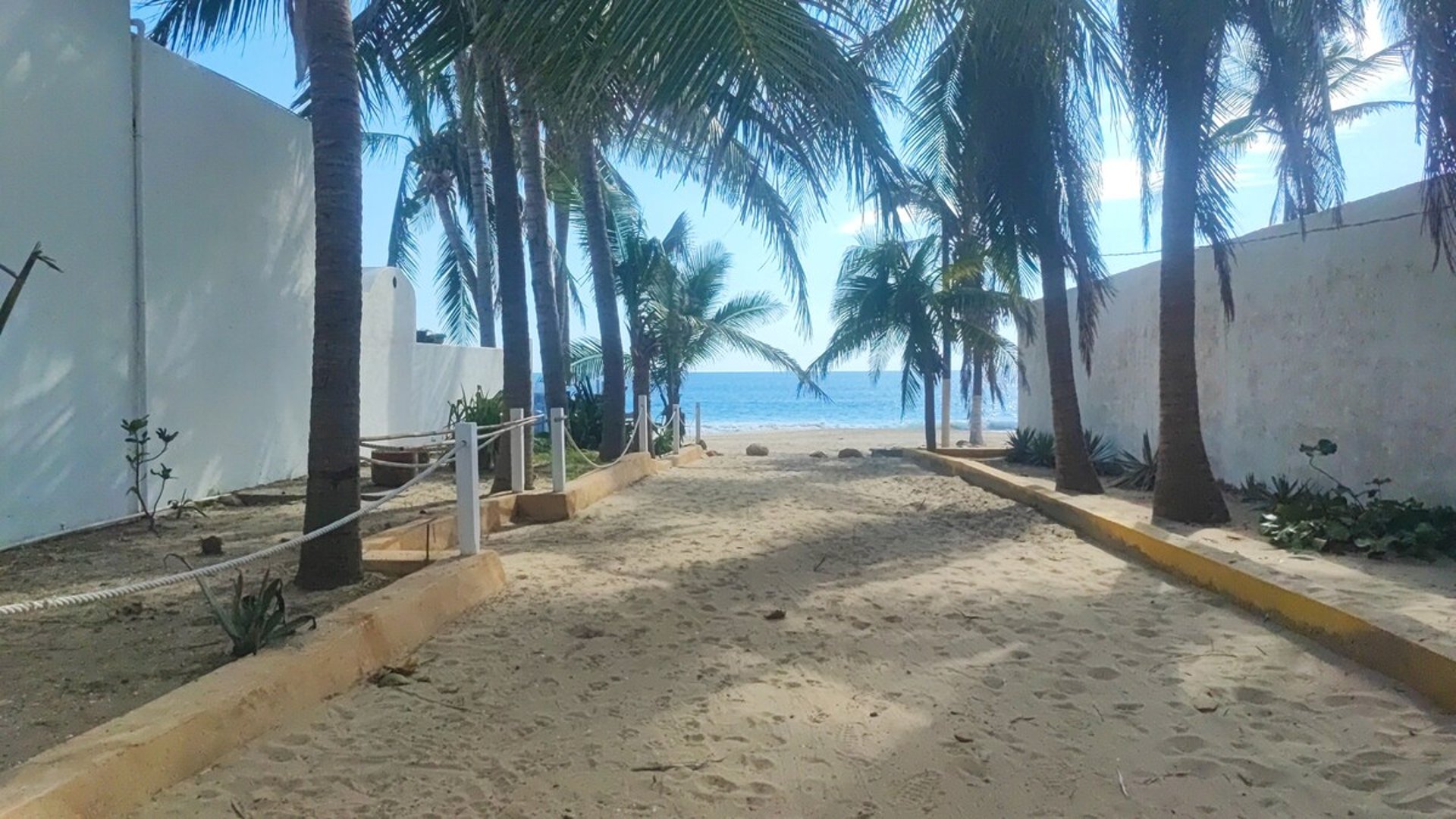 Acceso arenoso entre palmeras hacia la playa con mar azul al fondo en día soleado