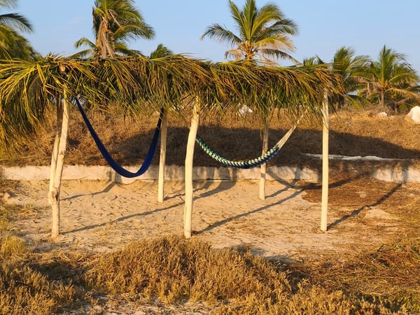 Dos hamacas colgadas bajo estructura rústica de palmas en arenal con luz cálida de tarde