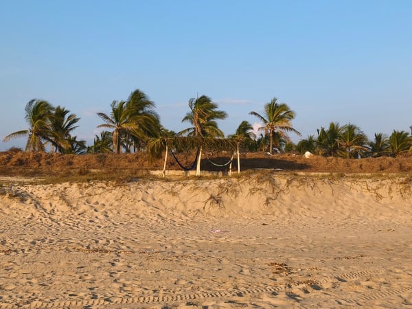 Franja de playa con duna de arena, hamaca entre palmeras al viento y luz dorada de tarde