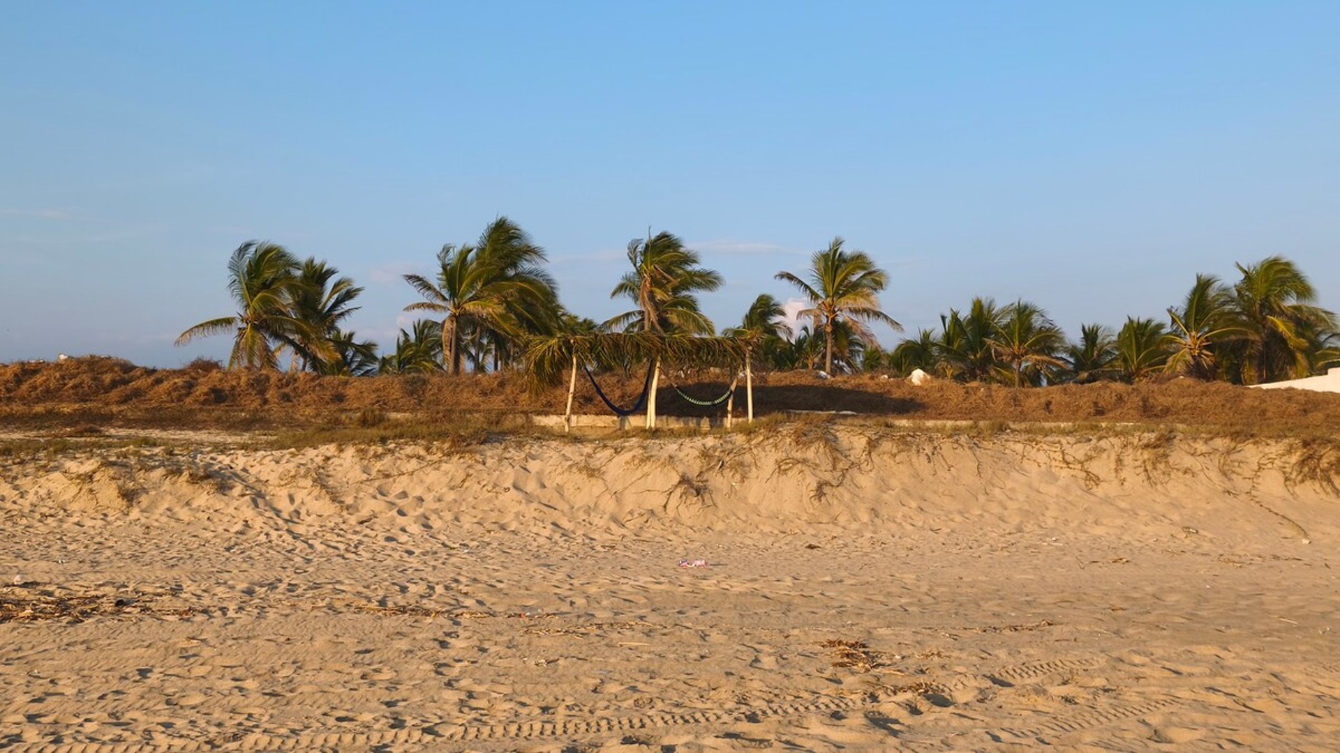 Franja de playa con duna de arena, hamaca entre palmeras al viento y luz dorada de tarde