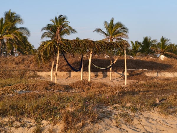 Palapa rústica con hamaca entre palmeras en terreno arenoso de playa al atardecer