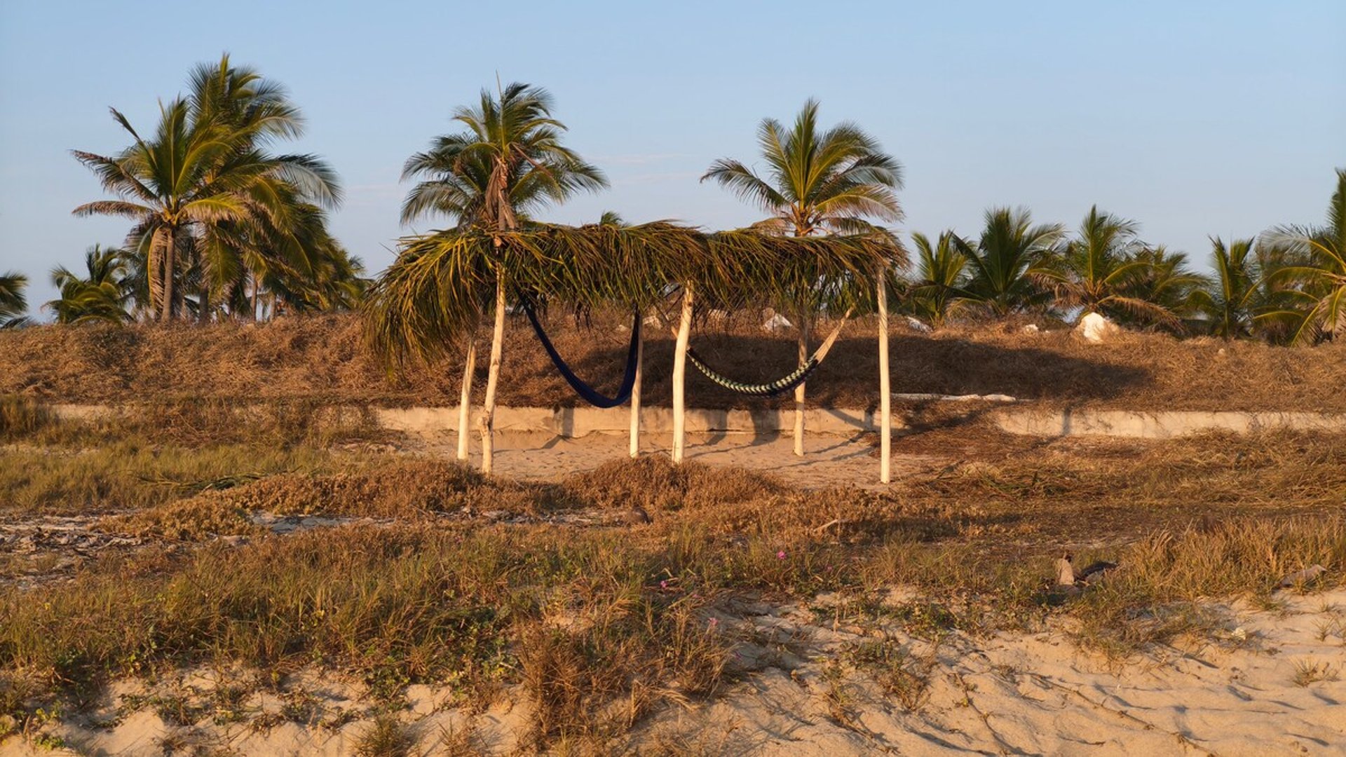 Palapa rústica con hamaca entre palmeras en terreno arenoso de playa al atardecer