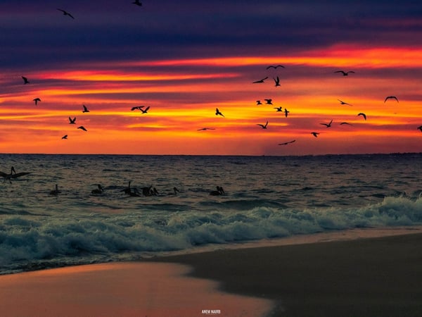 Atardecer intenso en tonos rojizos sobre el Pacífico con bandada de aves sobrevolando las olas en la orilla