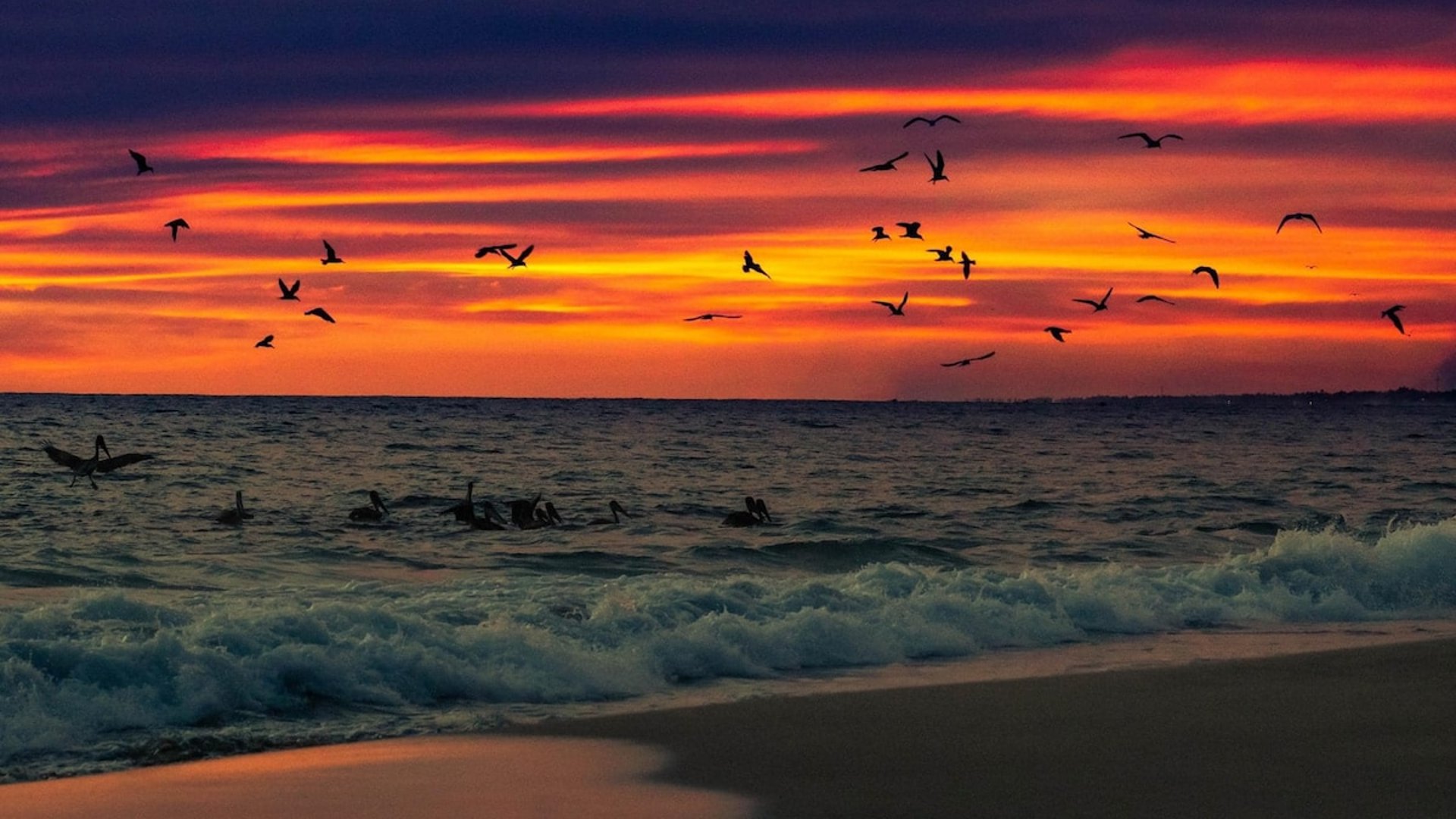 Atardecer intenso en tonos rojizos sobre el Pacífico con bandada de aves sobrevolando las olas en la orilla
