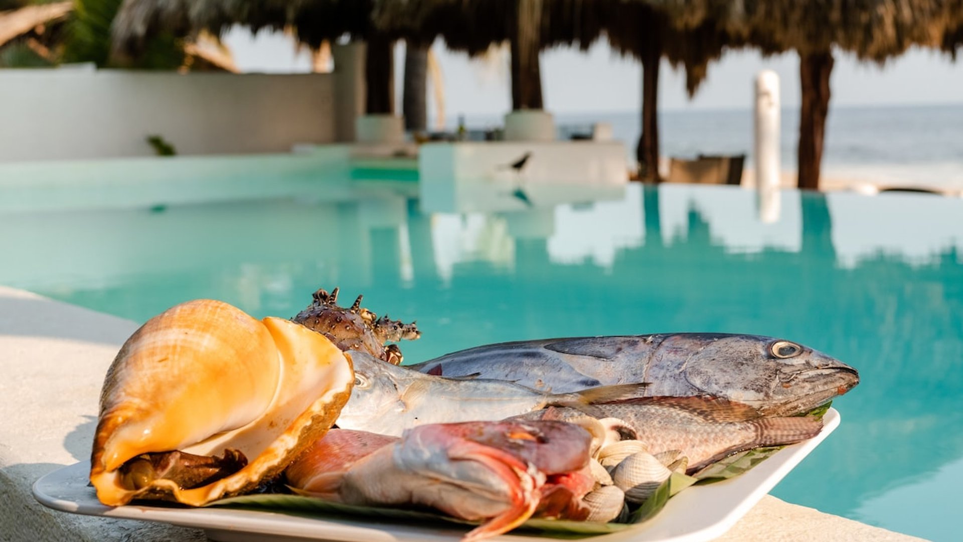 Charola de mariscos y pescado fresco en el borde de la alberca con palapa y mar al fondo