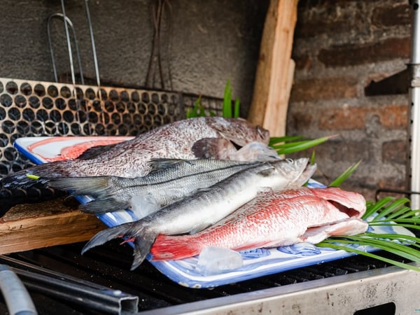 Pescados frescos del día sobre charola en asador exterior, listos para preparar en la propiedad