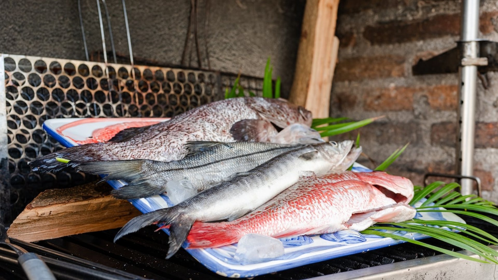 Pescados frescos del día sobre charola en asador exterior, listos para preparar en la propiedad