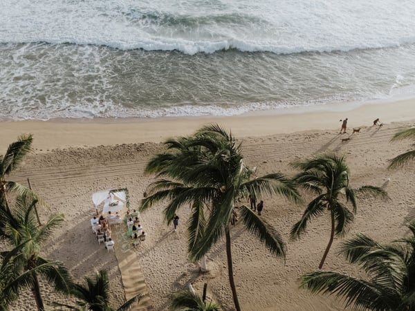 Vista aérea de ceremonia de boda íntima en la playa rodeada de palmeras con el oleaje del Pacífico al fondo