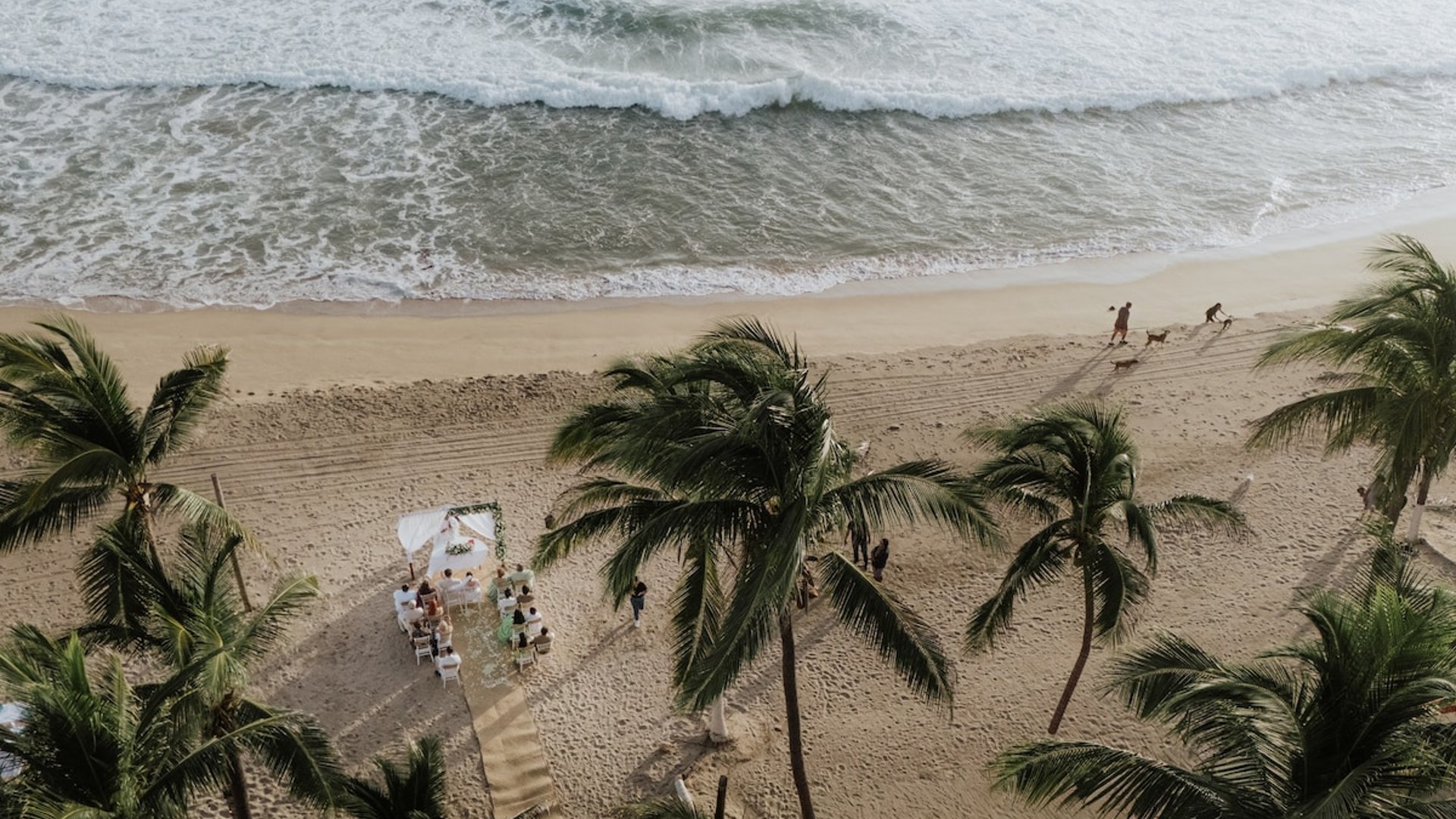 Vista aérea de ceremonia de boda íntima en la playa rodeada de palmeras con el oleaje del Pacífico al fondo