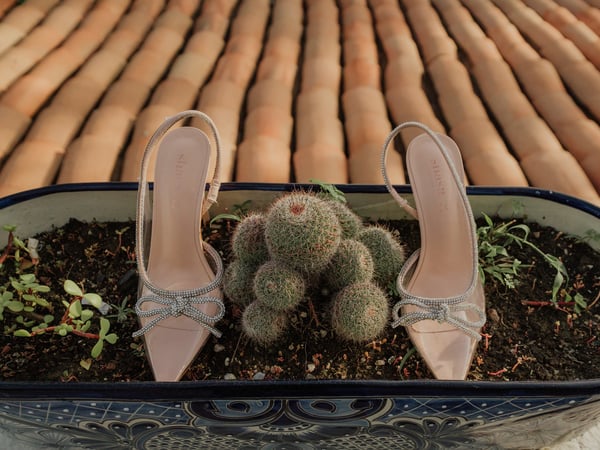Zapatos de novia con detalles de cristal junto a cactus en maceta decorativa sobre madera