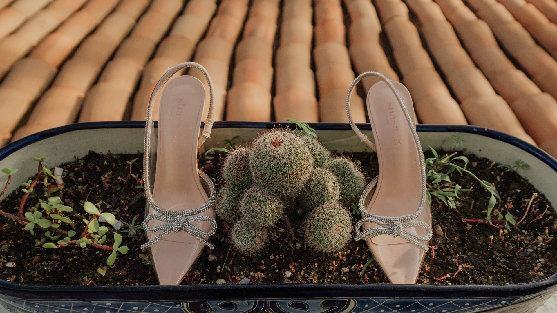 Zapatos de novia con detalles de cristal junto a cactus en maceta decorativa sobre madera