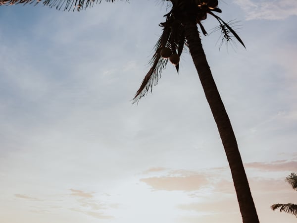 Pareja de recién casados caminando en playa al atardecer bajo palmera tropical en Pacífico