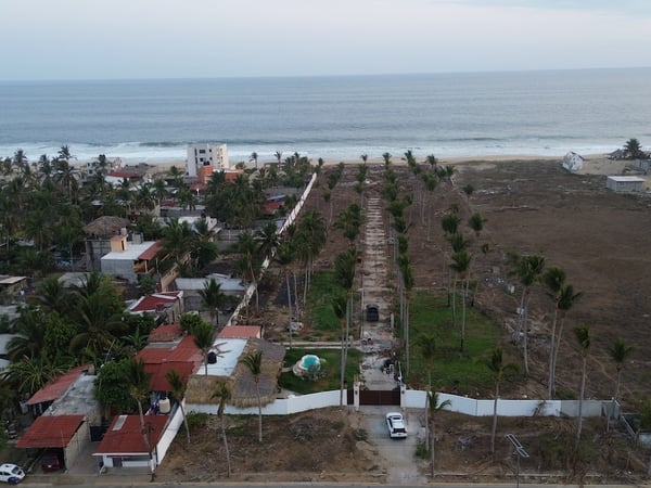 Vista aérea de propiedad frente al mar con palmeras alineadas, alberca y acceso vehicular en Pie de la Cuesta