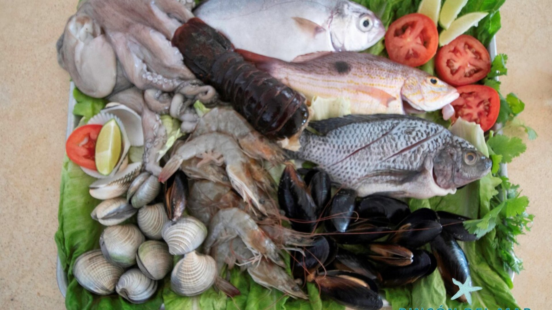 Charola de mariscos frescos con pescados, langosta, camarones, almejas y mejillones sobre cama de lechuga