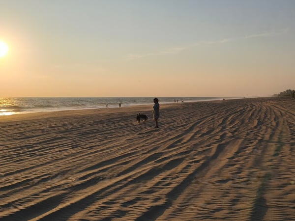 Playa amplia y tranquila al atardecer con silueta de persona y perro frente al mar dorado