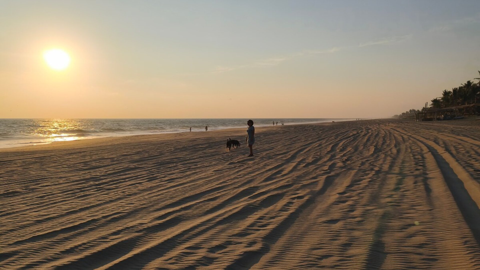 Playa amplia y tranquila al atardecer con silueta de persona y perro frente al mar dorado