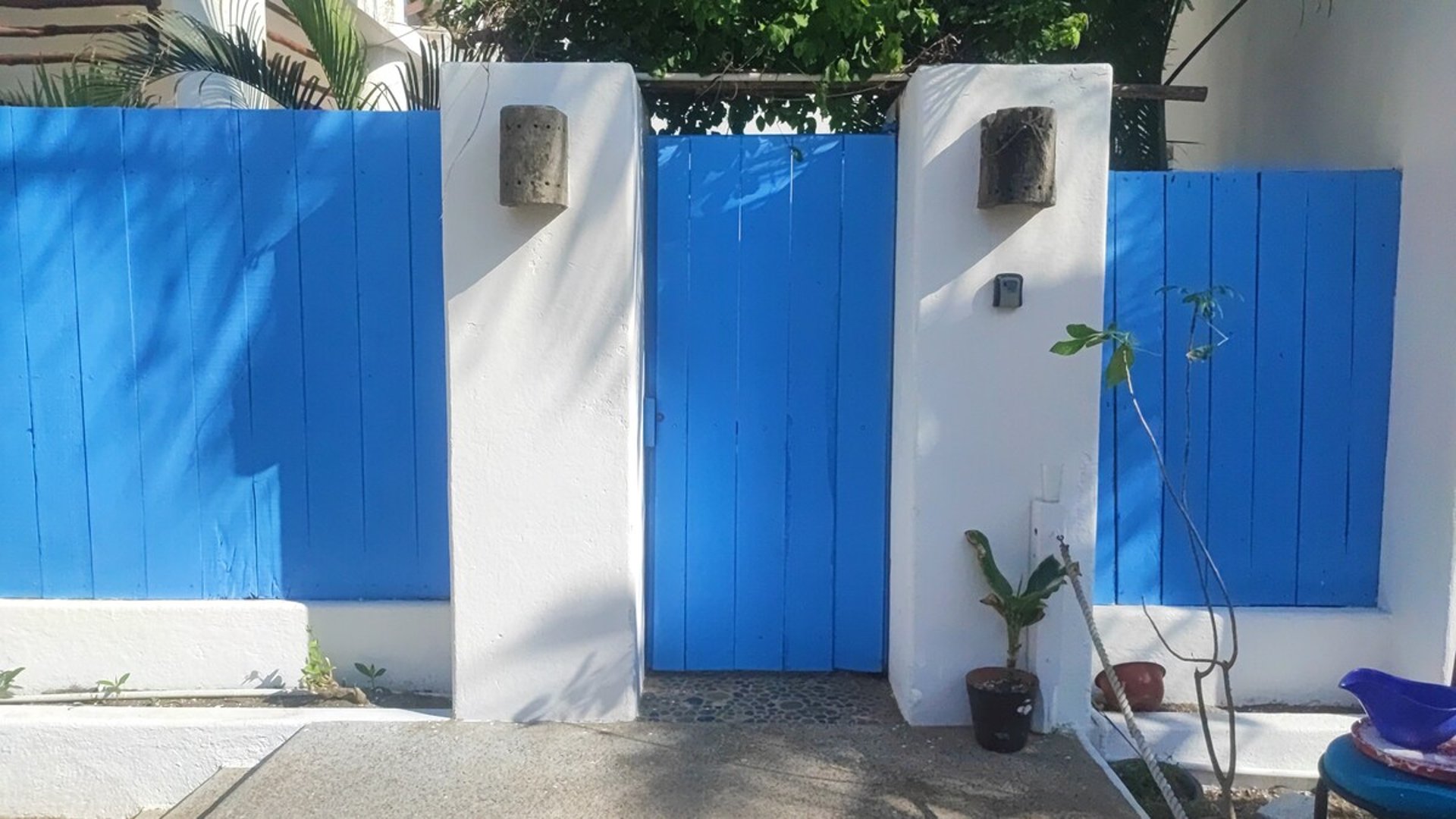Entrada principal con barda blanca y tablones azules, portón de madera y pequeña planta en maceta