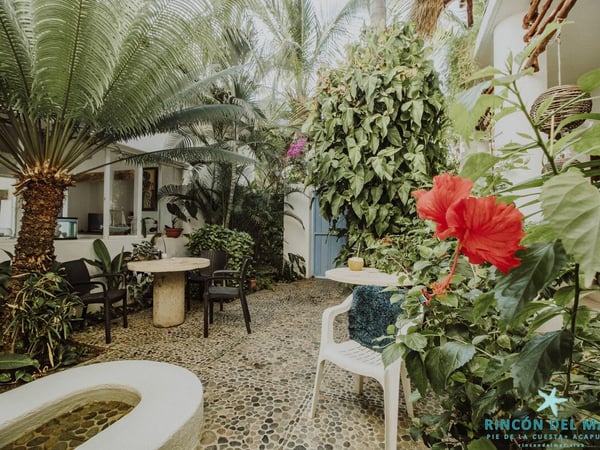 Jardín interior con patio de piedra, palmeras, vegetación tropical exuberante y flor de hibisco rojo en primer plano