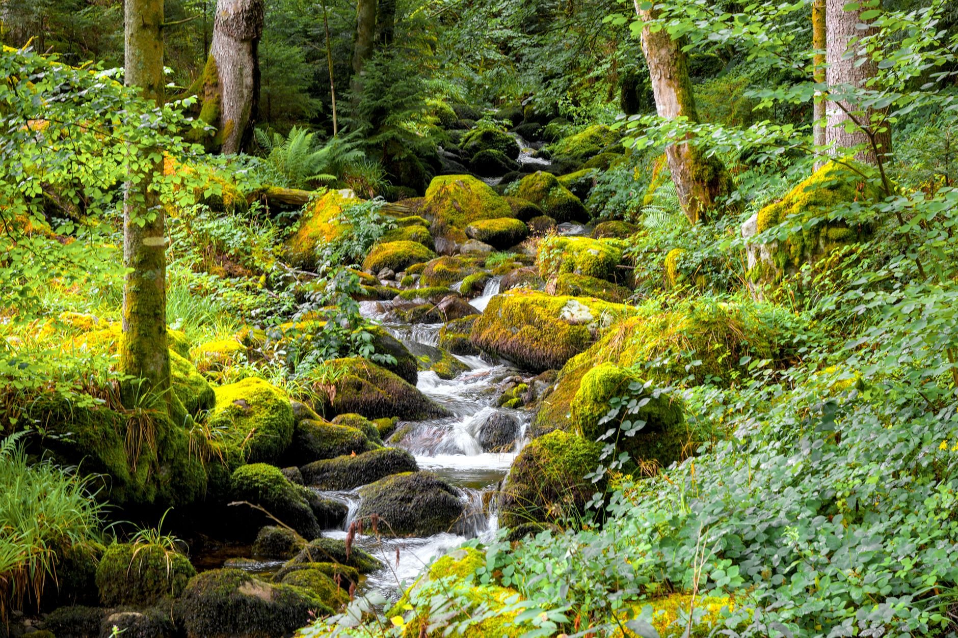 Belgische Ardennen: Urlaub an der Semois und rund um Bouillon