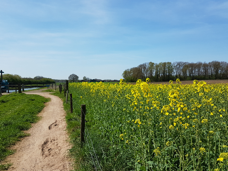 Omgeving Enjoyhotel Landgoed Ehzerwold