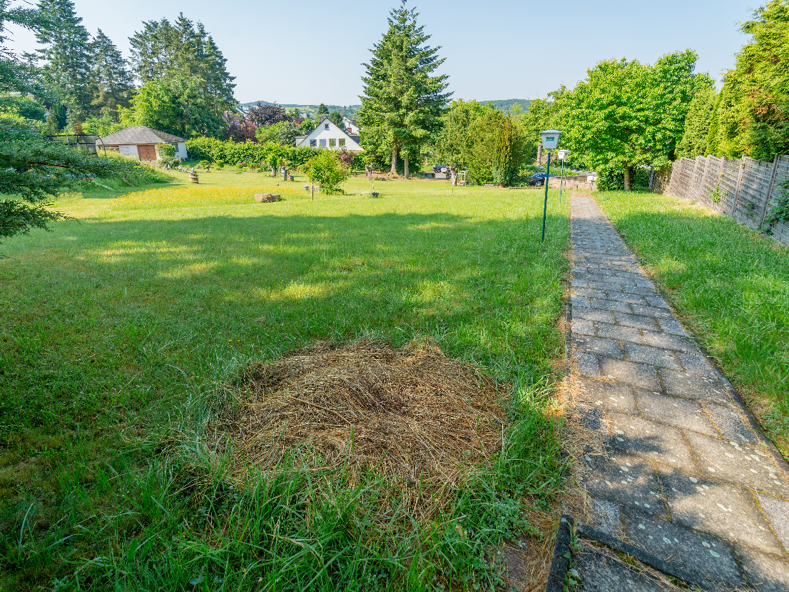 Konig_von_Rom_Foto_026
