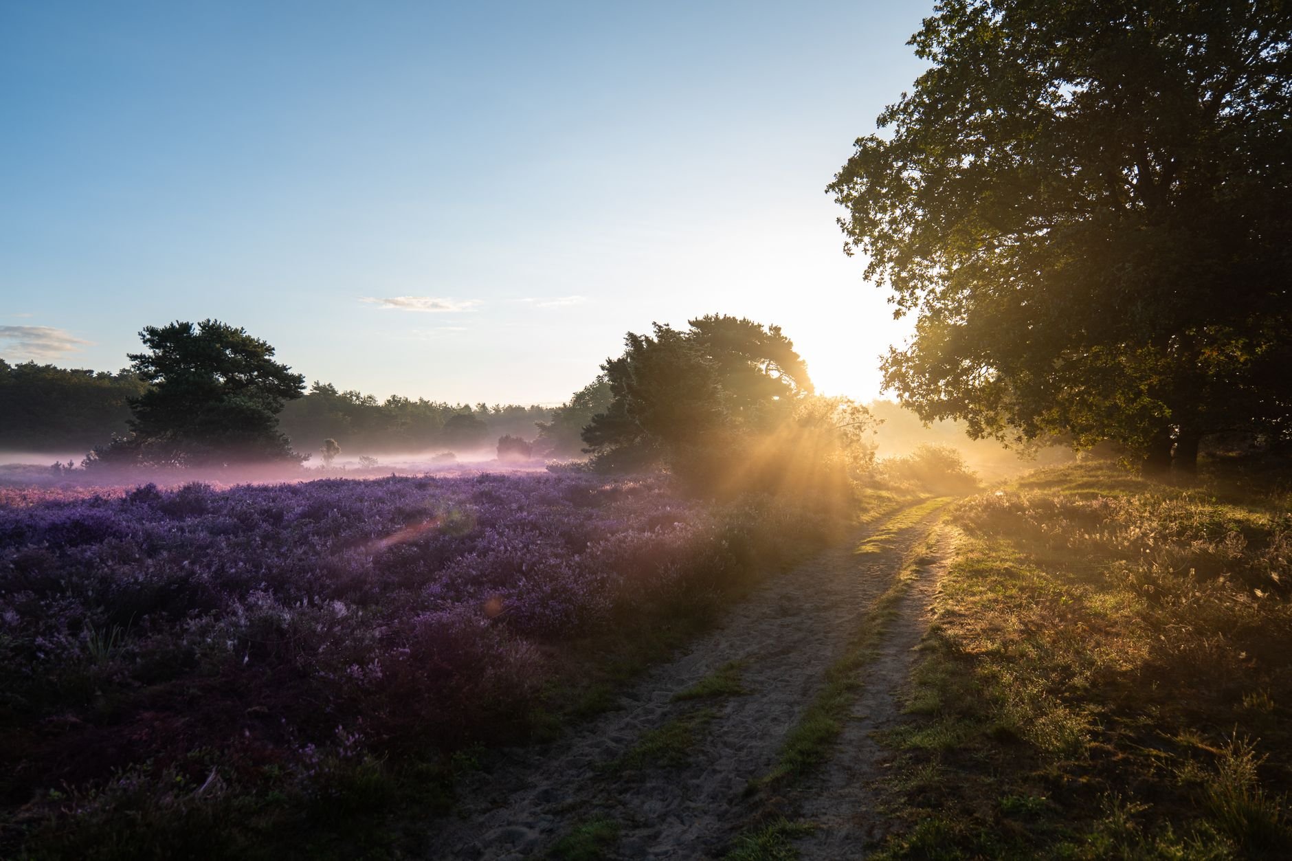 De stille schoonheid van Drenthe – Enjoyhotel Ruyghe Venne