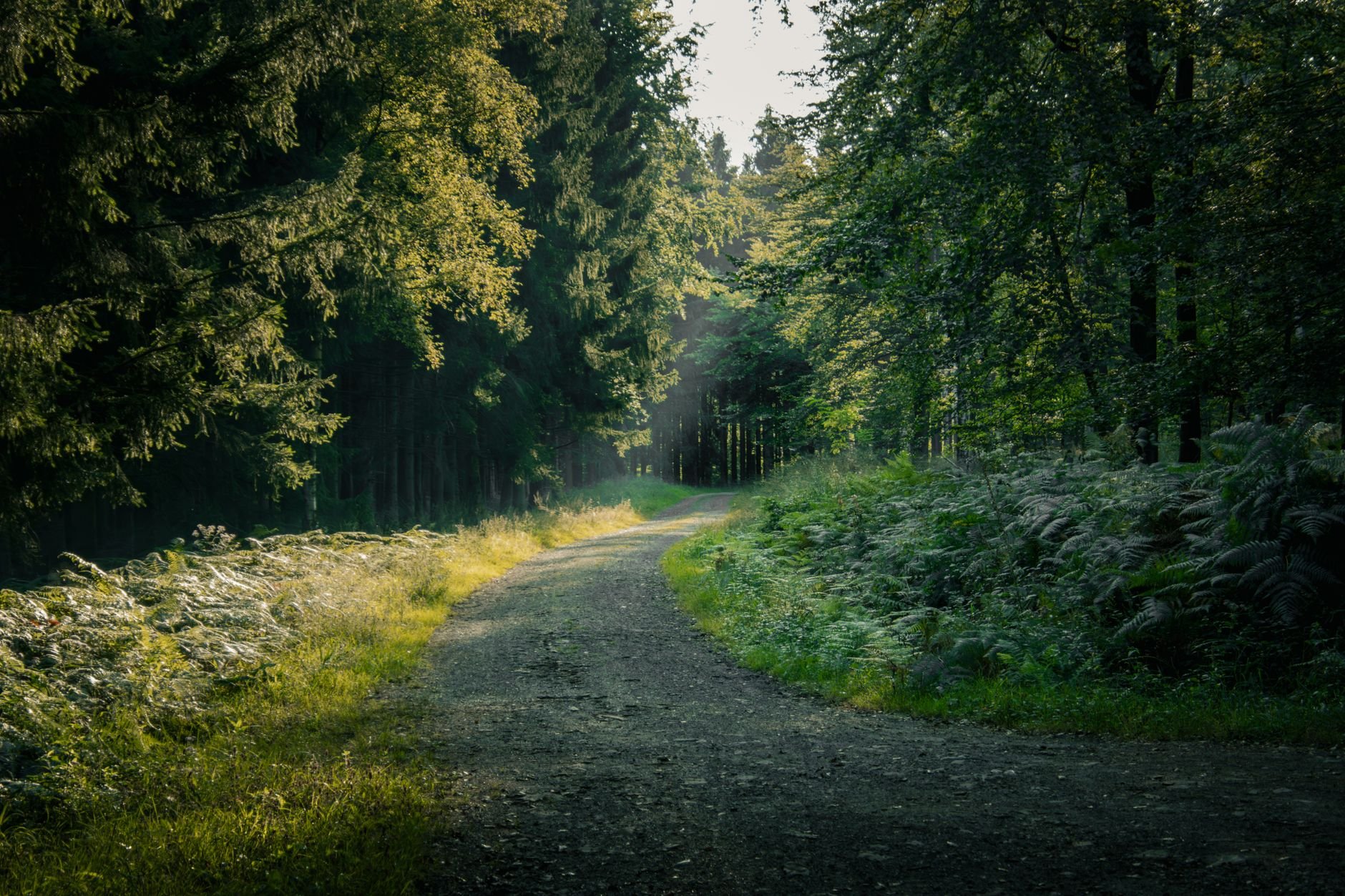 Belgische Ardennen: verblijf tussen Semois, bossen en Bouillon