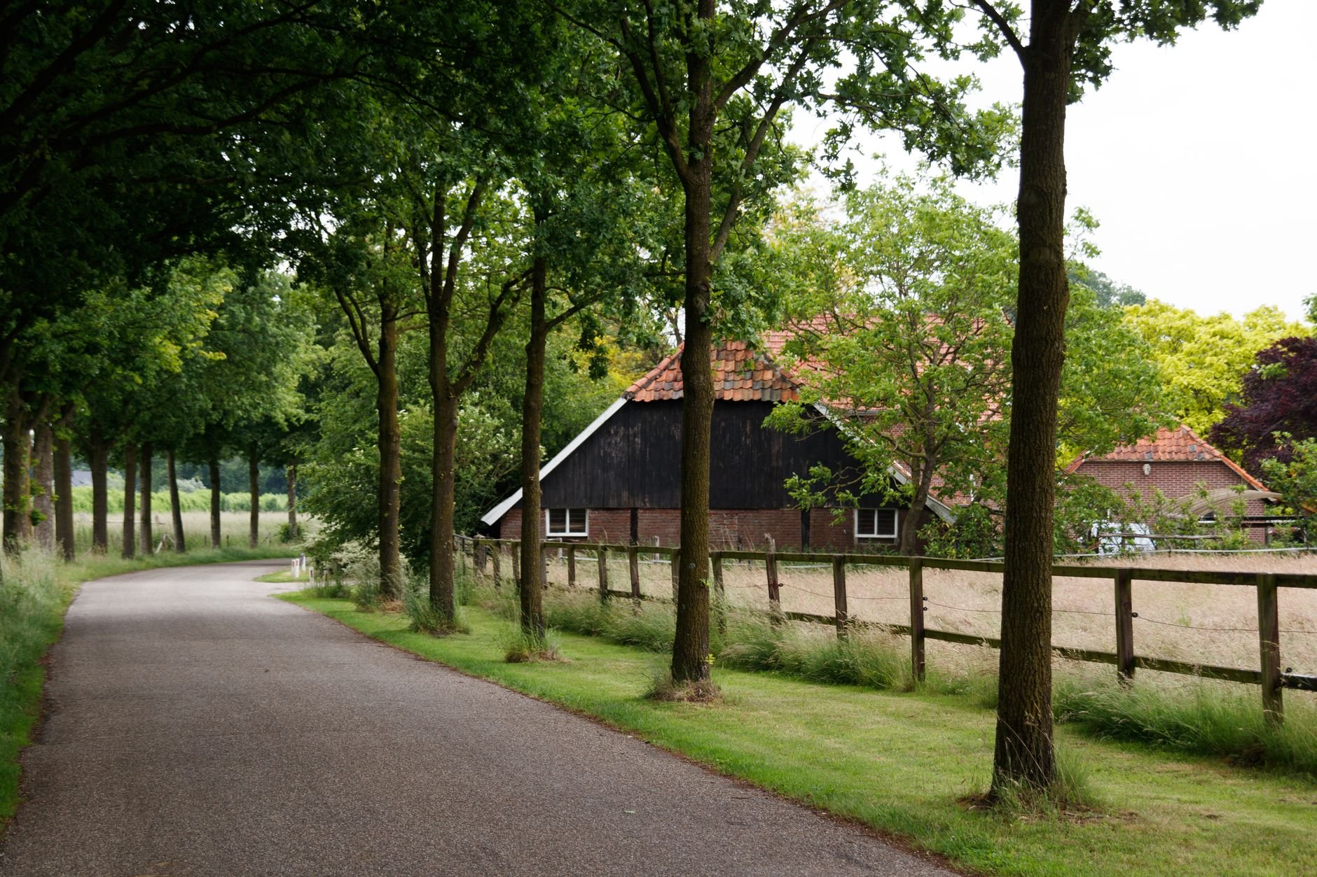 Die Niederlande von damals – entdecken Sie, wie man früher lebte